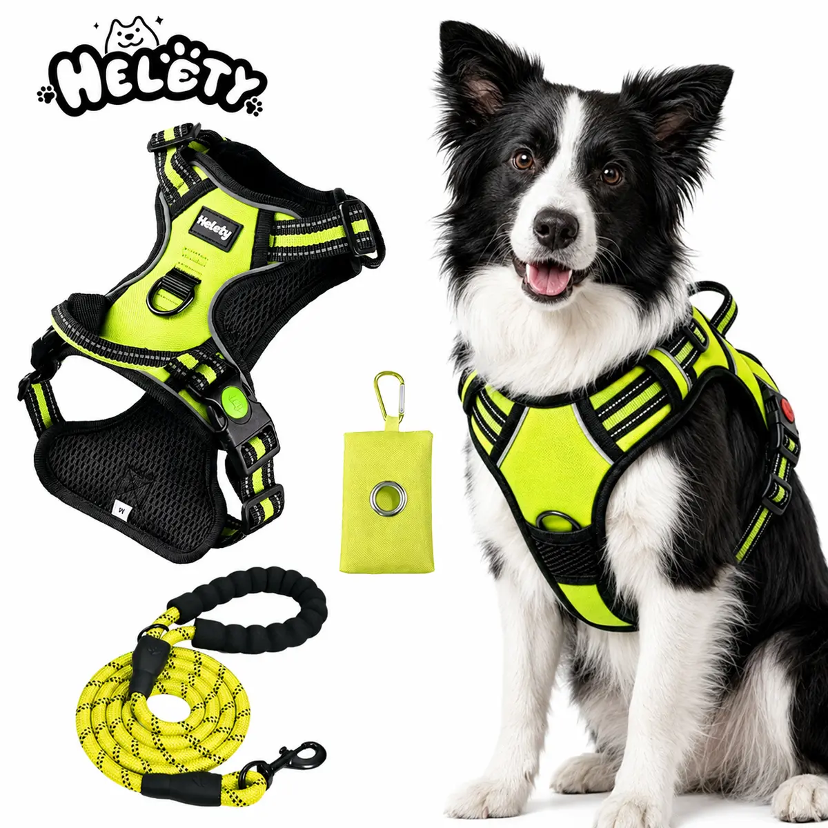 Helety Travel-Ready 3-in-1 Dog Harness Set, Adjustable Vest Harness with 1.5 m Leash and Waste Bag Dispenser for Parks and Trips