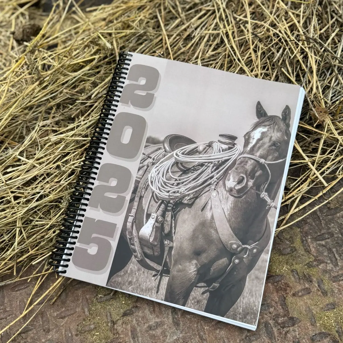 2025 Punchy Planner