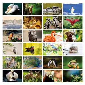 24 Adorable Animals Postcards 300gsm Premium Cardstock 4x6 Inch | Cute Bunny, Panda & Fox Art for Nursery Decor, Greeting Cards & Gifts