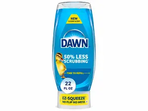 Dawn Liquid Dish Soap 22oz Powerful Grease Cutting Formula with Fresh Clean Scent Easy Squeeze Bottle for Kitchen Cleaning Solution