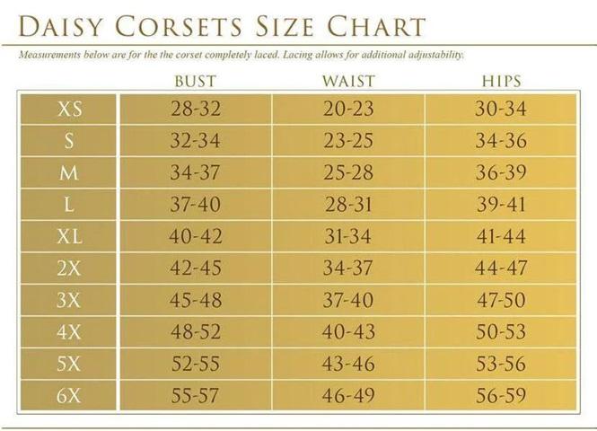 Top Drawer 4 PC Sexy Devil Corset Costume