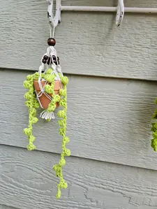 Crochet and Macrame Mini Hanging Potted Plant