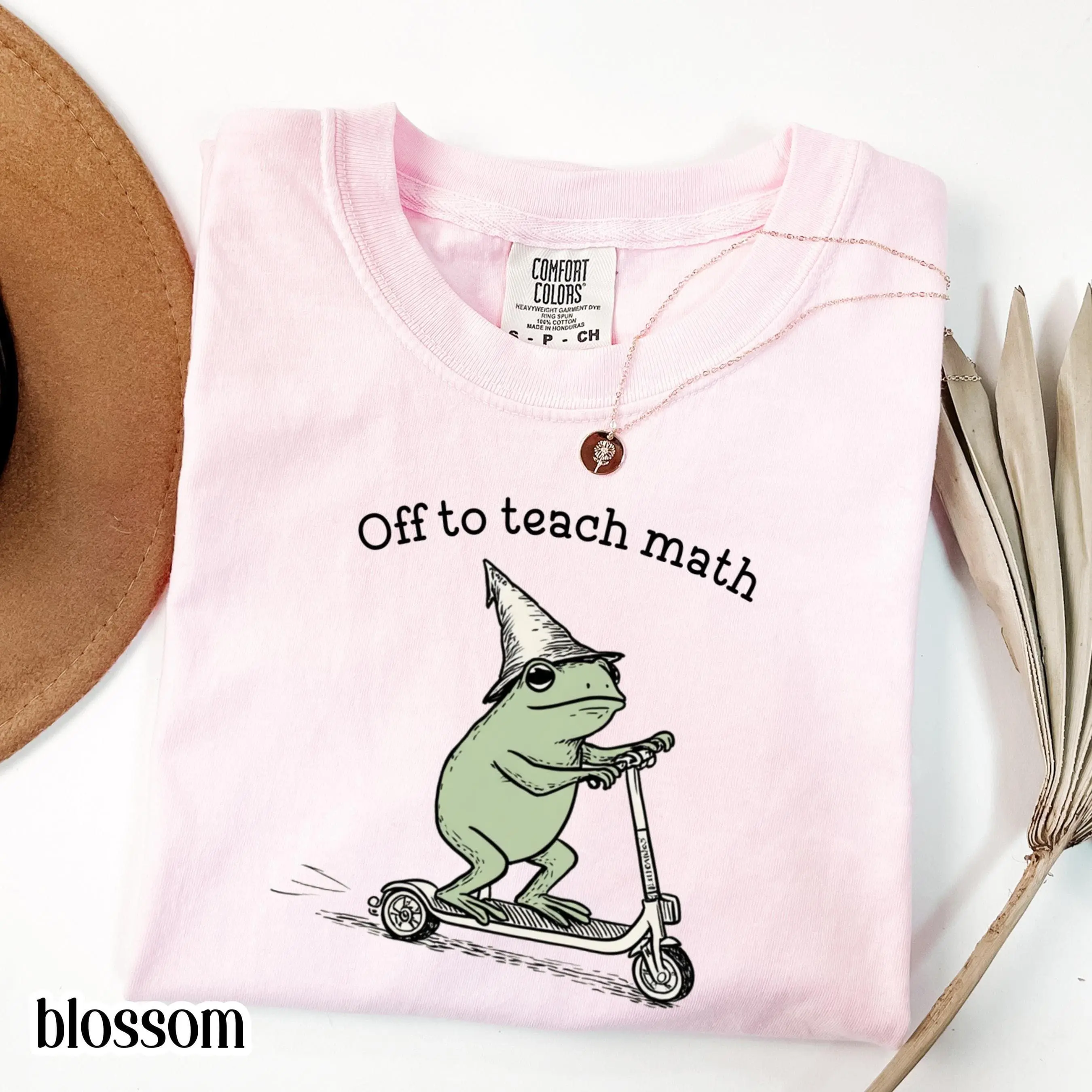 Math Teacher T-Shirt, Algebra Grade Teacher Tee, Funny Scooter Frog Off To Teach Statistics T-Shirt, Christmas Gift Mathematics