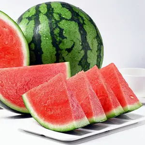 Watermelon Seeds Easy to grow, fast-growing Ideal for gardens and backyards Beginner-friendly High germination rate Produces sweet, juicy watermelons
