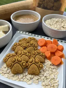 Farm Fresh Carrot Bites Organic Homemade Dog Treats