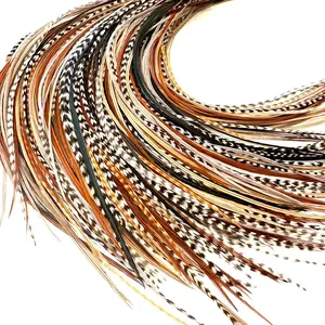 Female  Natural Color Real Feather Hair Extensions - 9in-14in Long - DIY Rooster Kit with 20 Micro-Link Beads - Eye-Catching Boho Fashion Accessory