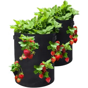 Strawberry Grow Bags, 2 Pack Strawberry Planter with Holes Grow Pockets, Breathable Non-Woven Fabric Reinforce Handle Plant Grow Bag for Garden Strawberries, Herbs, Flowers (8 Holes - 10 Gallon)