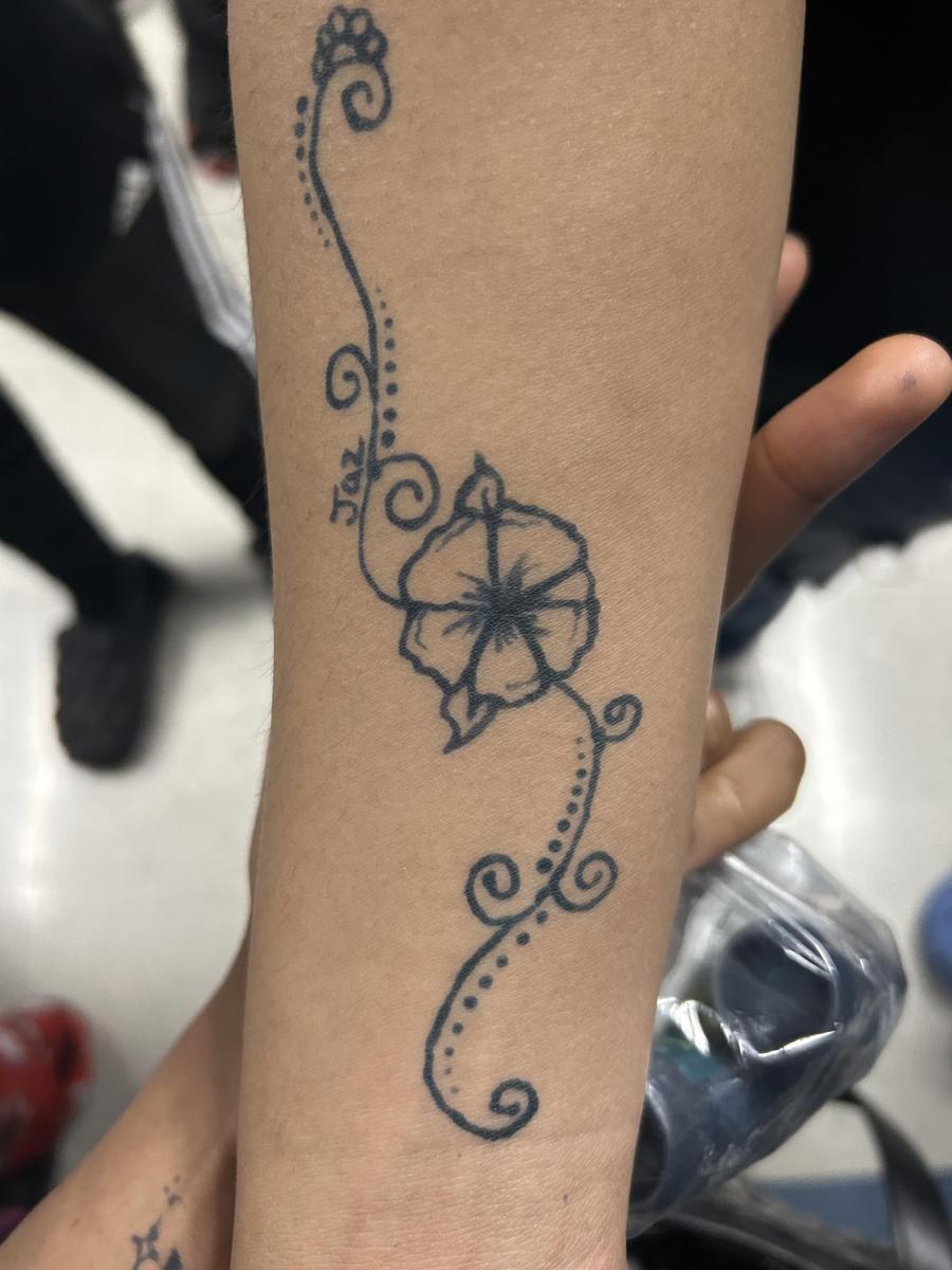 Item: 2 Bottles w/3 Tips, None, Lavender-free