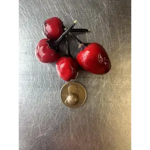 Black Cuban Prince Seeds