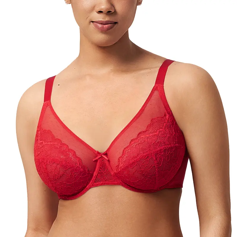 HSIA Crimson Passion Holiday Colors Floral Lace Underwire PLus Size Full Coverage Bra