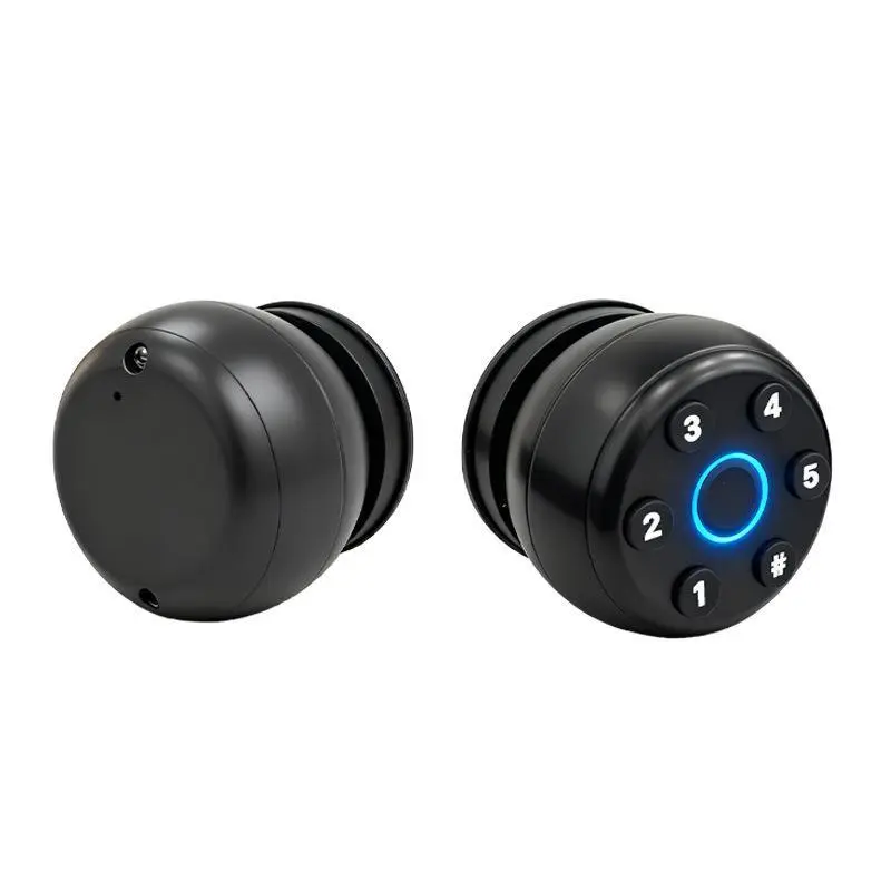 Black Biometric Fingerprint Door Knob Lock with Keypad - Keyless Entry Hardware for Home, Hotel Bedrooms & Office smart Lock With Code Code Locks For Doors Doorknob