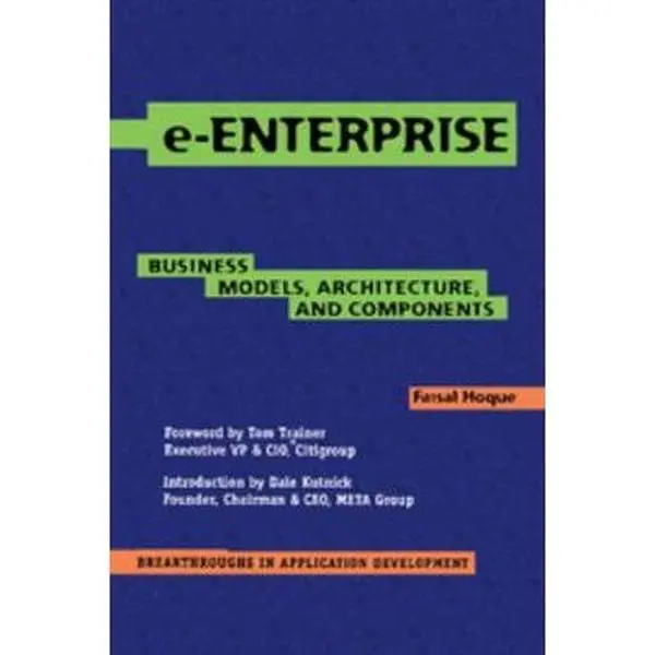 USED-e-Enterprise by Hoque, Faisal (Paperback)