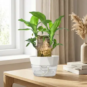 2026 new Brazilian lucky tree, brings you good luck and increases wealth, mysterious doll with base