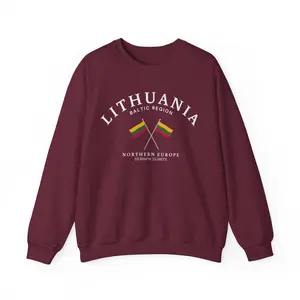 Lithuania Sweatshirt, Lithuania Shirt, Lithuania Flag, Crewneck Pullover, Unisex Sweatshirt, Soft and Comfortable, Vilnius