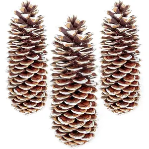Large Pine Cones for Crafts, 9-12 Inch  Frosted Sugar Pinecones - Set of 3  Pine Cones for Christmas Tree Ornaments, Vase Fillers, Rustic  & Holiday Decor - Frosted