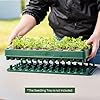 Vego Garden Seedling Popper Tool 3-in-1 Plant & Pop Board for Stackable Seedling Trays 10"x20" Efficient Seed Starting & Dispensing Grow Kit