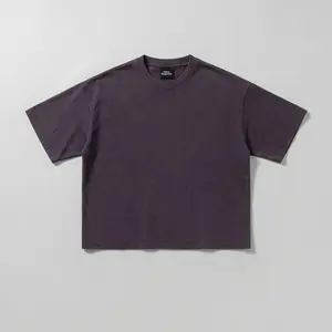 Washed Cropped Tee (Plum)