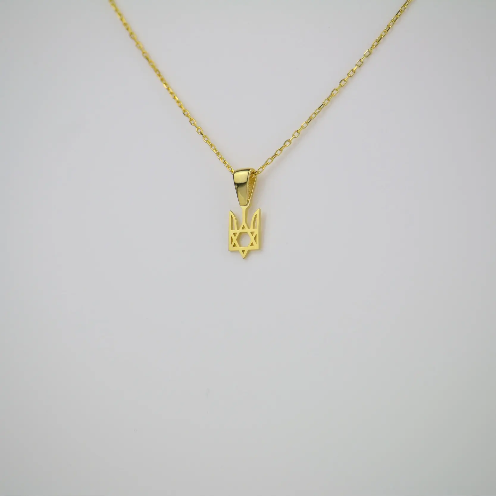 Sterling silver Ukraine trident x Star of David necklace by Tela Jewelry