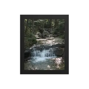 Dappled Daylight Framed poster