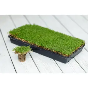 IronCutter Hybrid Bermuda Plugs