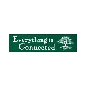 Car Bumper Sticker, Weatherproof Car Vinyl Sticker, Funny Meme Sticker, Car Decals for Car, Auto, Motorcar, Windows, Truck, Laptop, Windshield Sticker, Sticker for Cars