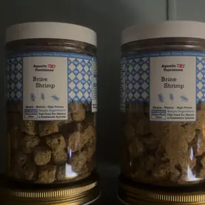 Brine Shrimp Cubes, Freeze Dried Fish Food for Freshwater and Saltwater Aquarium Fish