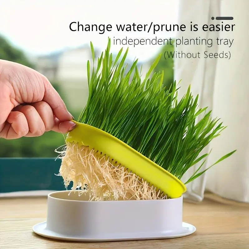 Hydroponic Cat Grass Planting Pot (Without Seeds), Plastic Pet Bowl Pet Cat Sprout Dish Growing Pot Hydroponic Plant Cat Grass Germination Digestion Starter Dish Greenhouse Grow Box