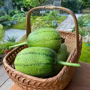 Apple Luffa Seeds Muop Tao Rare Heirloom Non-GMO Edible Fruit & Natural Sponge Planting Instructions Included
