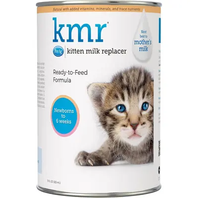 What Kind of Milk Can Cats Drink TikTok Shop