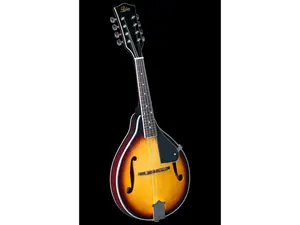 Rover RM-25S Student A-Model Mandolin - Mahogany