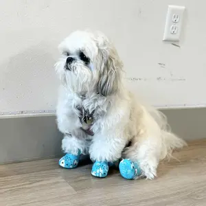 BarkBox - Crocs Dog Shoes - Each Box comes with 4 Crocs | EVA Foam with Adjustable Strap, Breathable, Glow-in-Dark