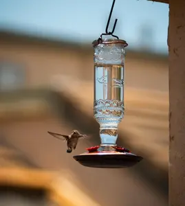 Antique Glass Bottle Hummingbird Feeder - Outdoor Garden Décor Hummingbird Feeder