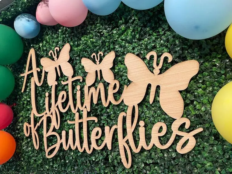 A lifetime of butterflies bridal shower, wedding sign, Baby Shower Backdrop Sign, Butterfly Theme Baby Shower