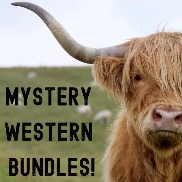 Mystery Western Chain & Charm Bundle