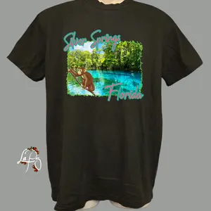 silver springs shirt