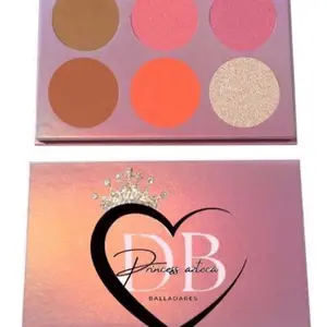 Paleta de rostro rumor e iluminador
