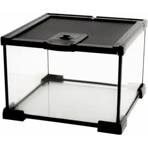 Mini Reptile Glass Terrarium Tank Cage for Tarantula Sling Geckos, Frog, Lizards, Chameleons, Turtles, Snake, Snail, Insect, Hermit Crab, Isopods Reptiles Enclosure (7.9x7.9x5.7inch)