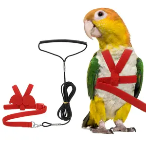 PETAXCELL Bird Harness Leash, Adjustable Pet Parrot Bird Harness and Leash Lightweight Anti-Bite Flight Training Rope with Cute Wing, (Red, XS), Intended for Parrots/Pigeons/Budgies