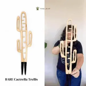 BARE Cactrella Trellis - Customizable Wooden Plant Support Inspired by Barrel Cactus for Indoor Use - Cactus shaped trellis