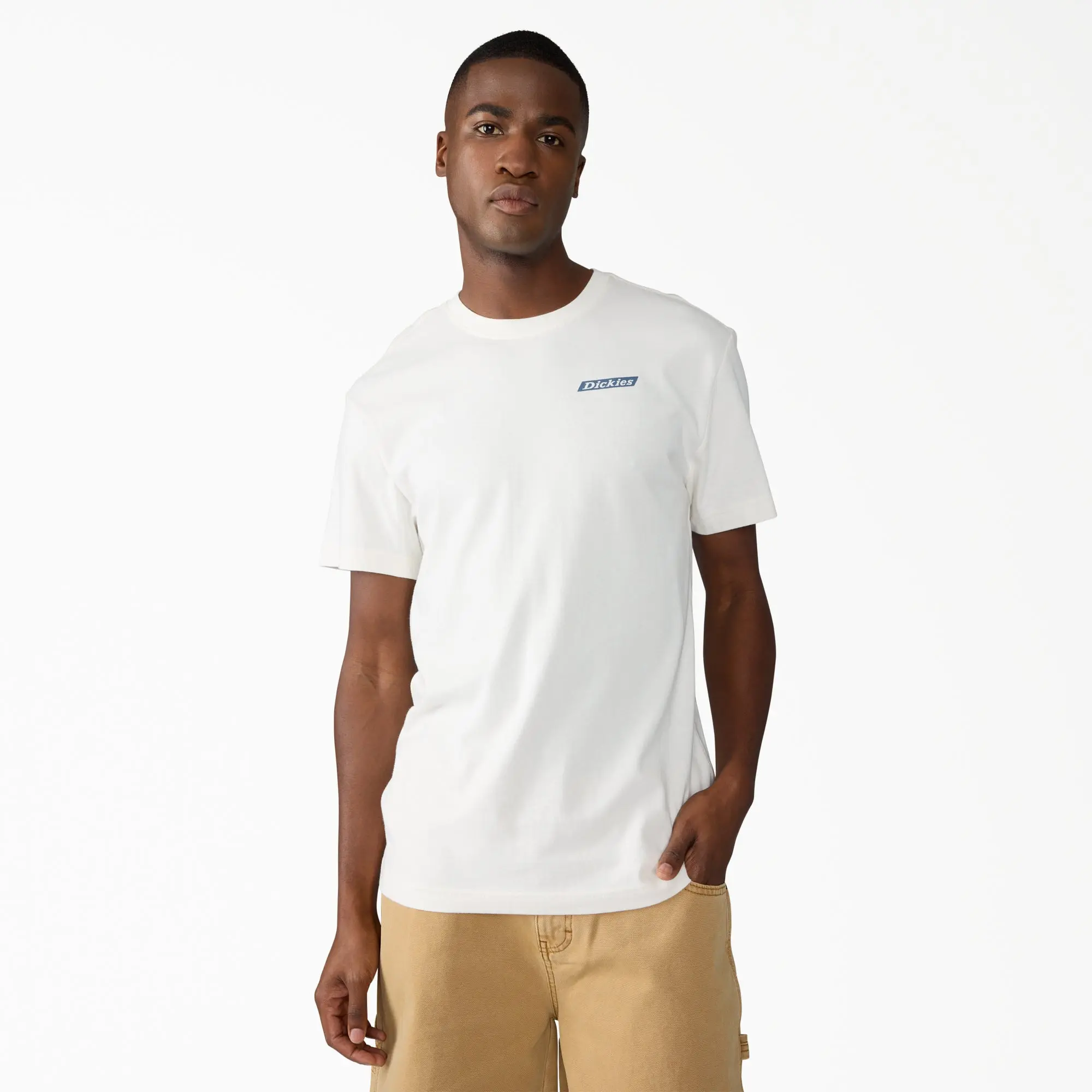 Dickies Americana Logo Fill Graphic T-Shirt, Regular Fit Graphic Print, Workwear Everyday Style Streetwear Knit Breathable Cotton