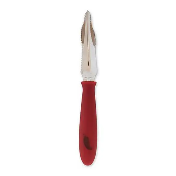 RSVP Jalapeno Corer – Sold by HSN