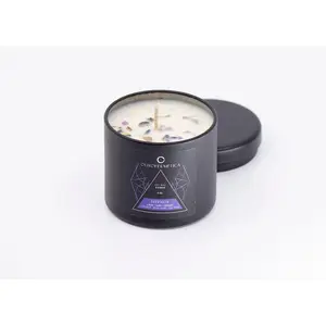 Hypnos Ritual Soy Candle with Botanicals & Amethyst