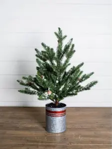24” Farmhouse Potted Snowy Pine Tree