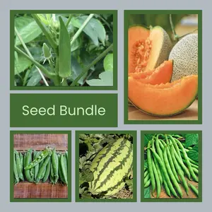 Variety Seed Bundle