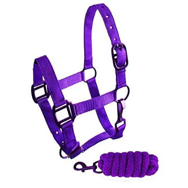 Showman  Pony Triple Ply Nylon Halter & Lead Rope