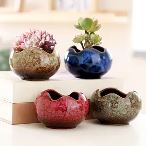 Succulent Pots Small Flower Pots with Drainage Hole Ceramic Planters for Indoor  Stylish  Pots in Egg Broken Shell Design for Home Office Decor Shallow  Pots for  Lovers Gifts