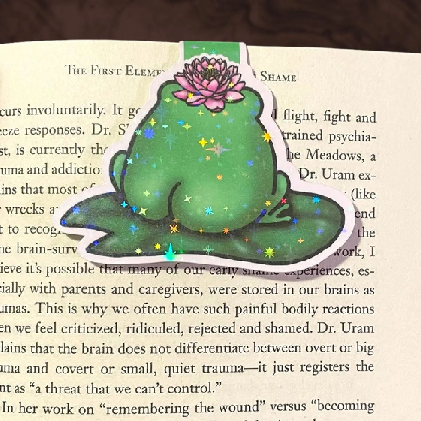 Holo Frog Butt Magnetic Bookmark