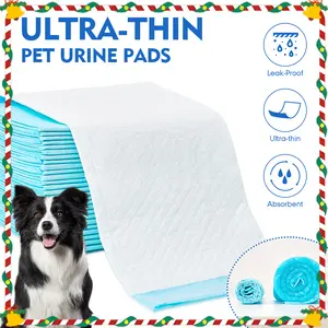 DCT Ultra-Absorbent Puppy Pads - 100 Count, 22" x 22", Quick-Dry, Leak-Proof, Super Absorbent, Unscented, 6-Layer Protection, Easy to Clean, Odor Control Technology
