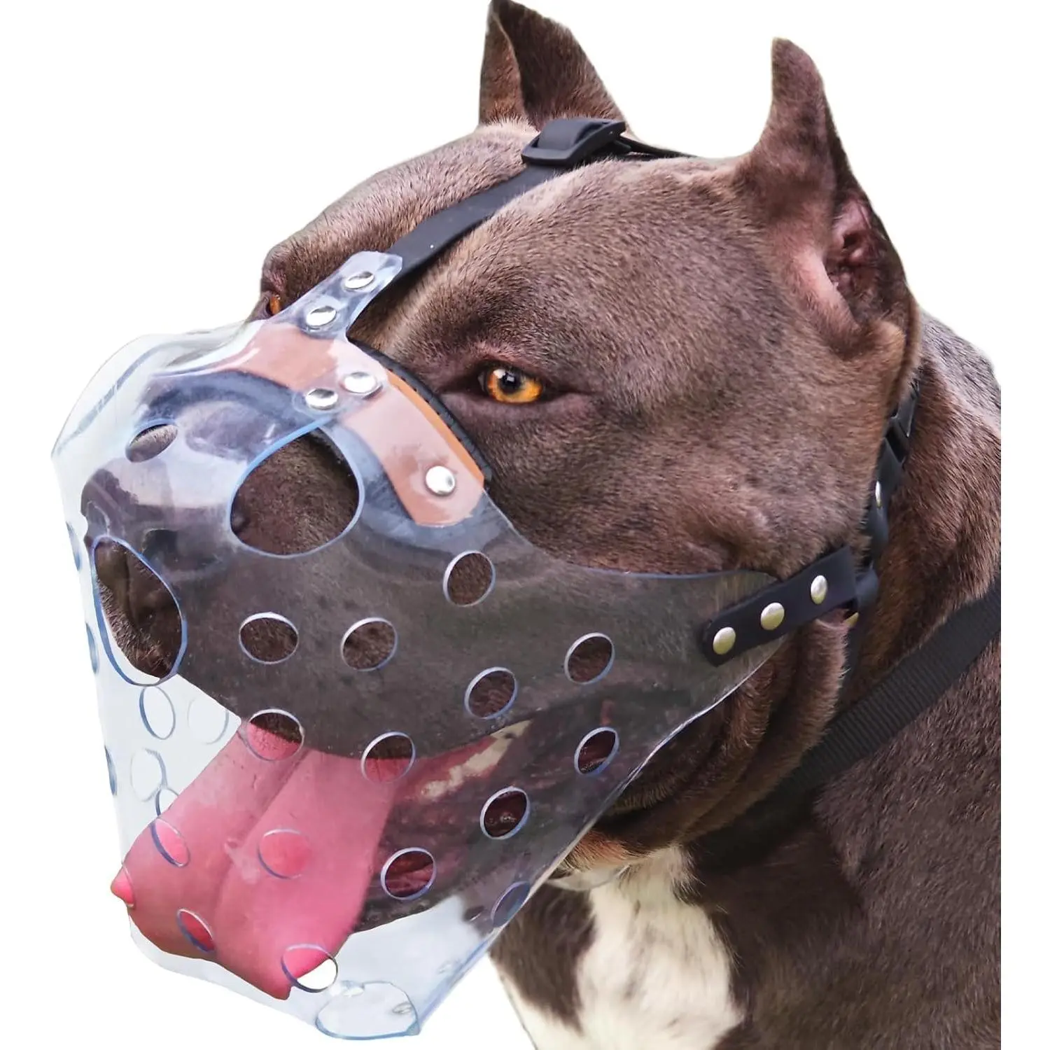 Large Plastic Dog Basket Muzzle, Chew Resistant with Double-Layer Snout Pad, Prevents Biting, Chewing & Scavenging for Positive Training, Grooming, Veterinary Visits, Fun Outings