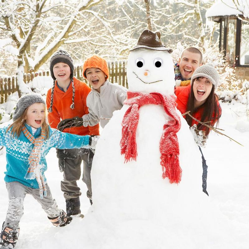 2 Inch Wiggle Googly Eyes with Self Adhesive Set of 24